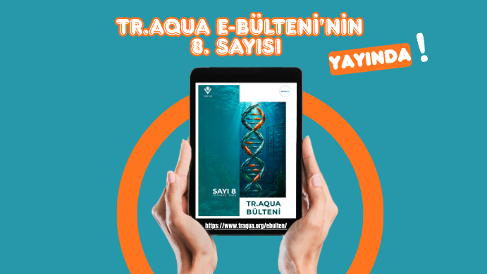 8. Sayı